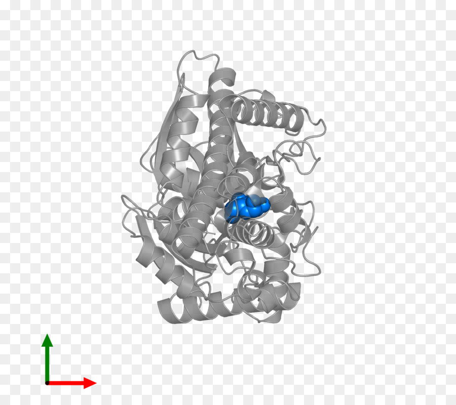 Azul Cobalto，A Jóia Do Corpo PNG