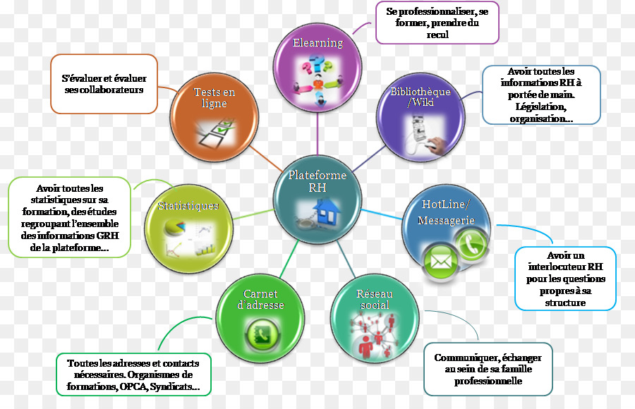 Gestão De Recursos Humanos，Propósito PNG