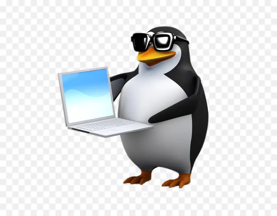 Pinguim Com Laptop，Pinguim PNG