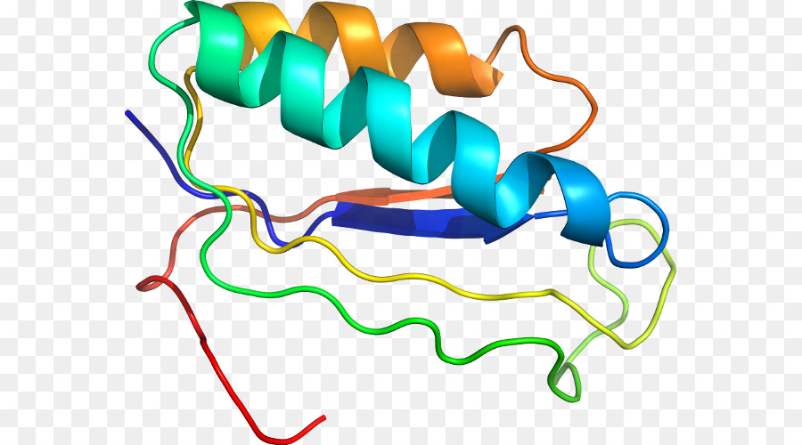 Hélice De Proteína，Molécula PNG