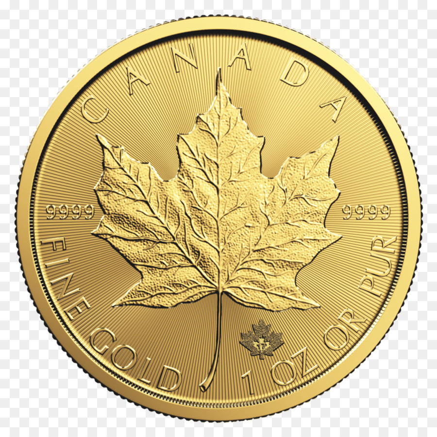 Canadense Maple Leaf De Ouro，Canadense De Prata Maple Leaf PNG