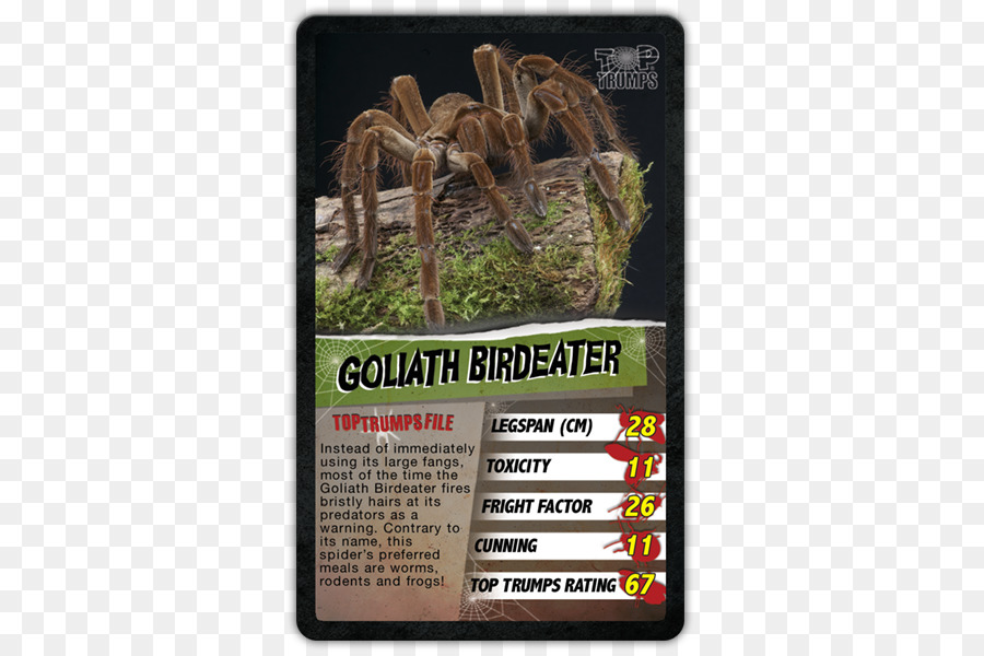 Top Trumps，Aranha PNG