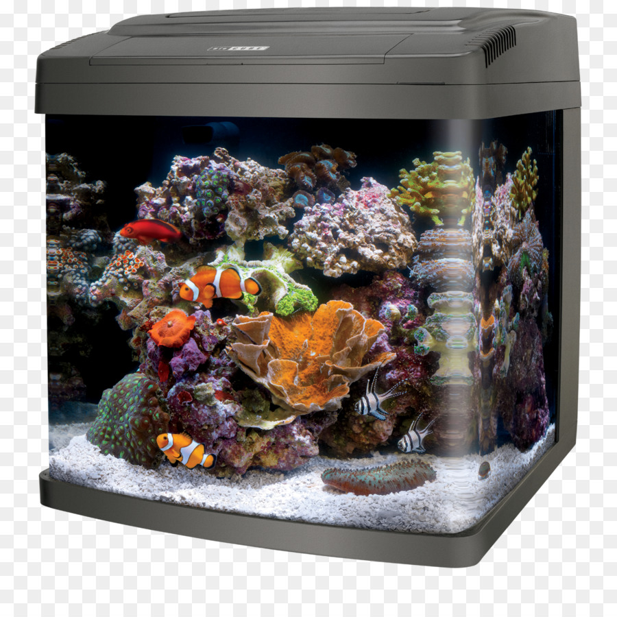 Coralife Led Biocube，Coralife Led Bio Cubo 32 PNG