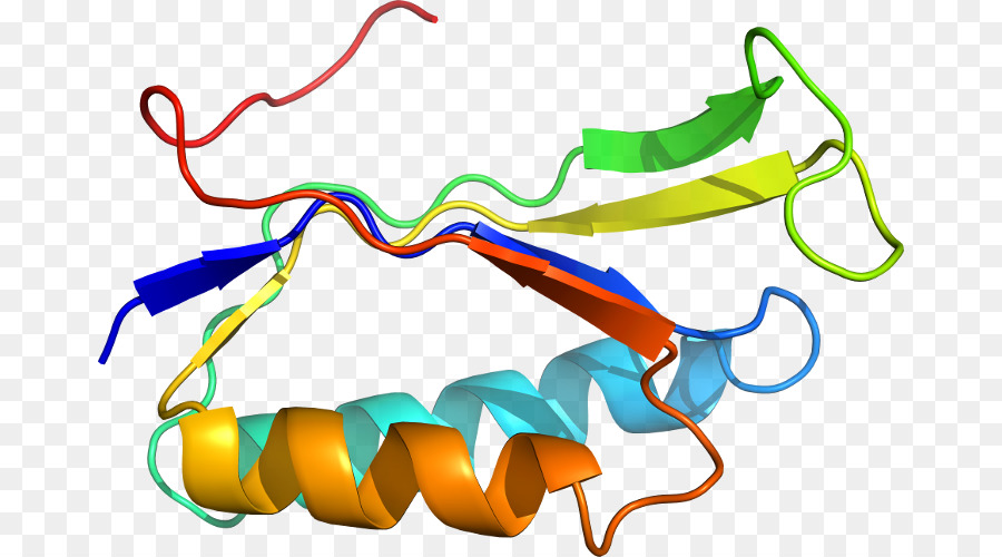 Hélice De Proteína，Molécula PNG