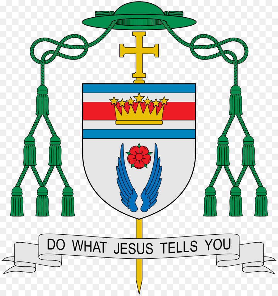 Organização Política Episcopal，Diocese PNG