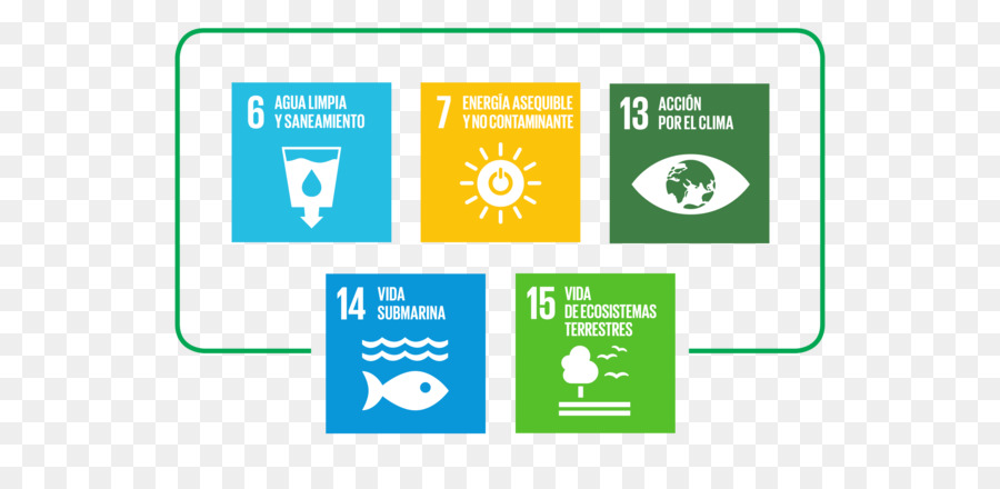 Metas De Desenvolvimento Sustentável，Sustentabilidade PNG