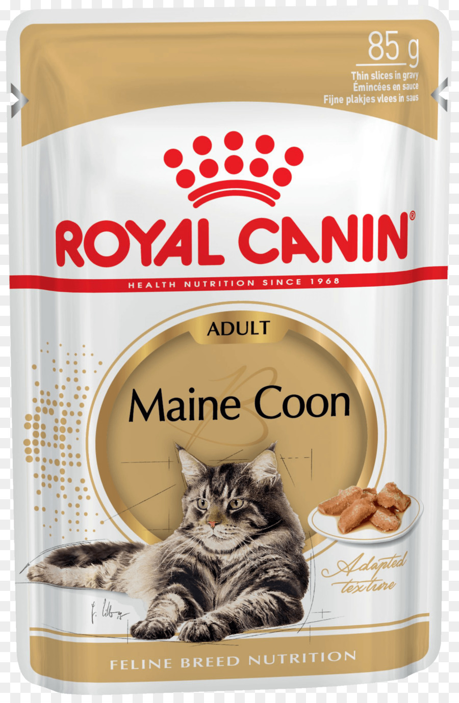 Maine Coon，Comida De Gato PNG