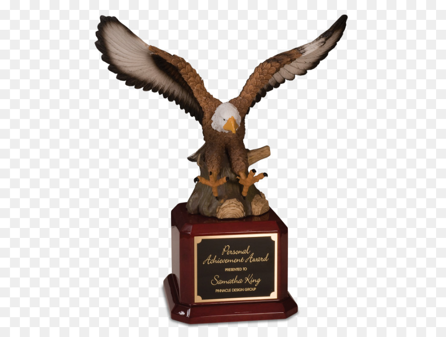 Troféu Águia，Prêmio PNG