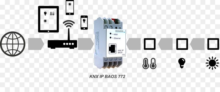 Baozi，Knx PNG