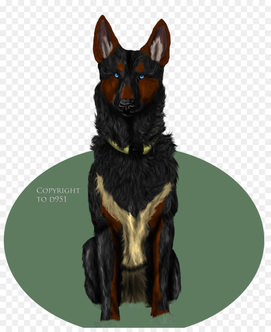 Ormskirk Terrier，Kelpie Australiano PNG