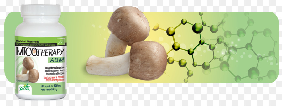 Agaricus Subrufescens，Medicamentos Fungos PNG