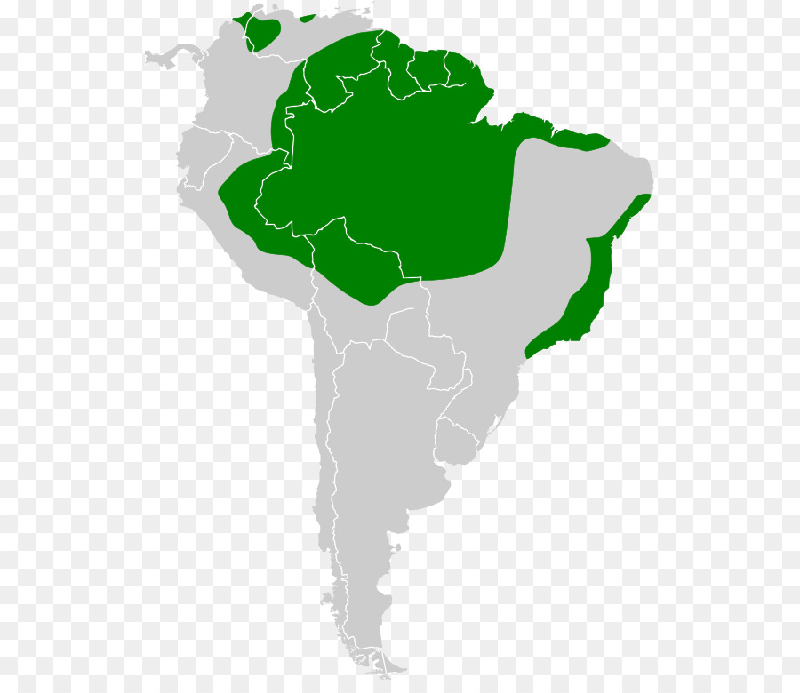 Mapa Da América Do Sul，Continente PNG