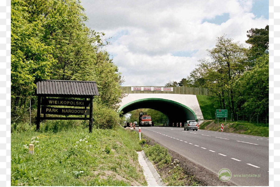 Ponte，Concreto PNG