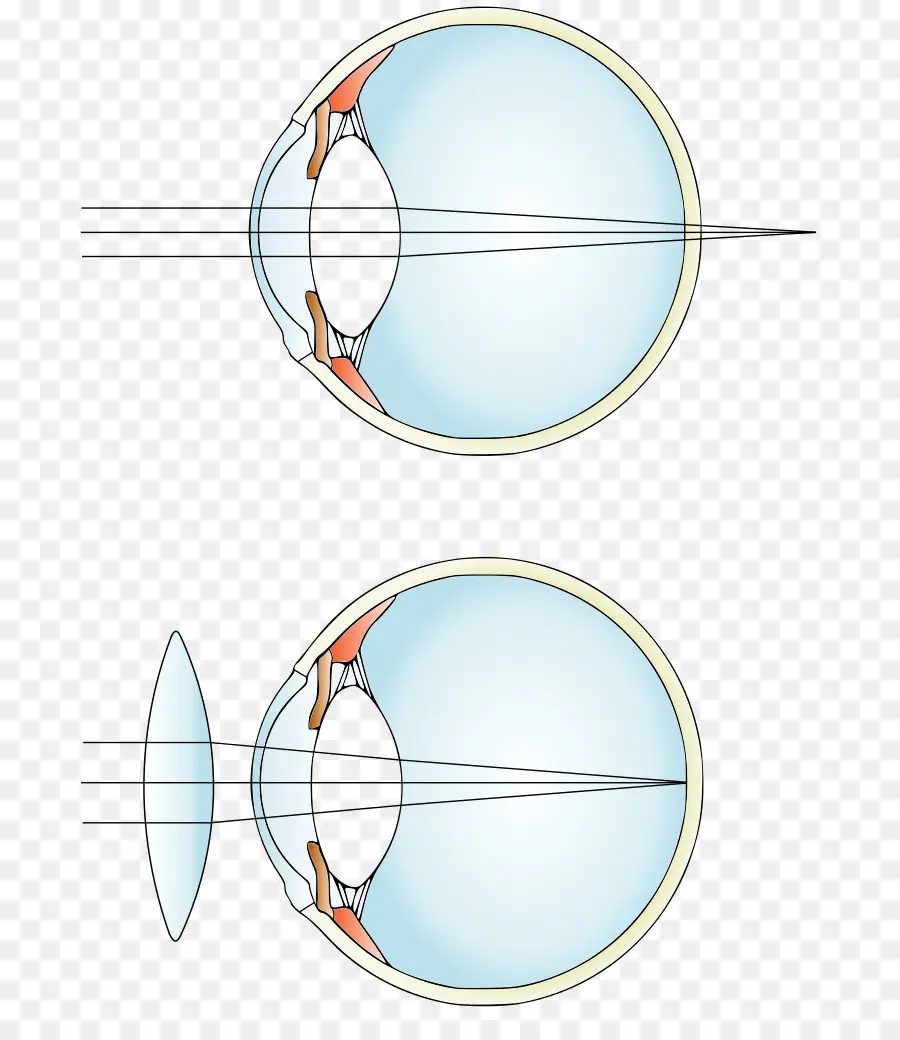 Diagrama De Olho，Visão PNG