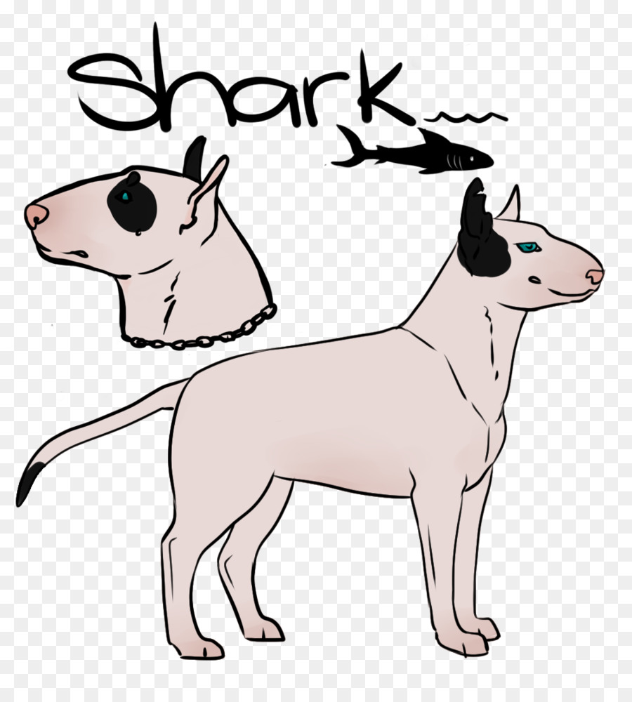 Bull Terrier，Filhote De Cachorro PNG