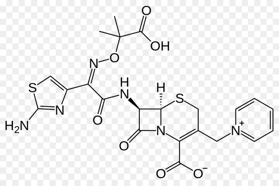 Ceftazidima，Ceftazidimeavibactam PNG