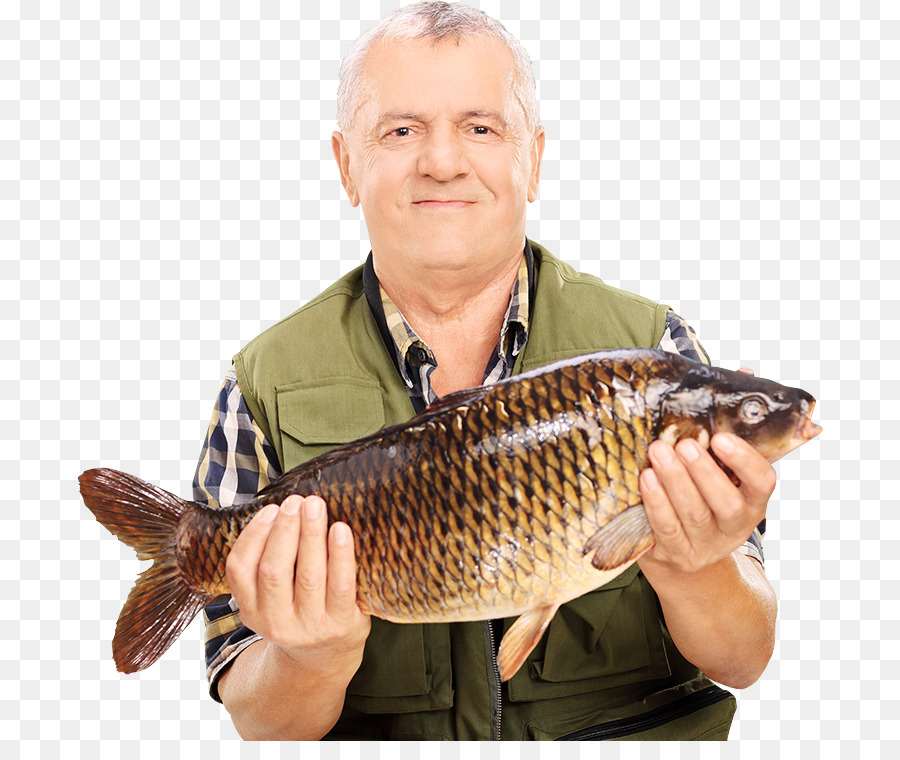 Peixe，Megamix PNG