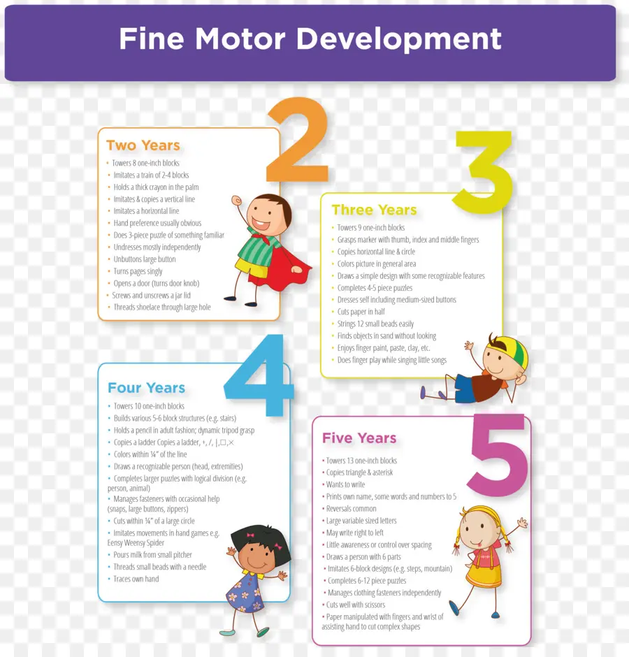 Gráfico De Desenvolvimento Motor Fino，Crianças PNG