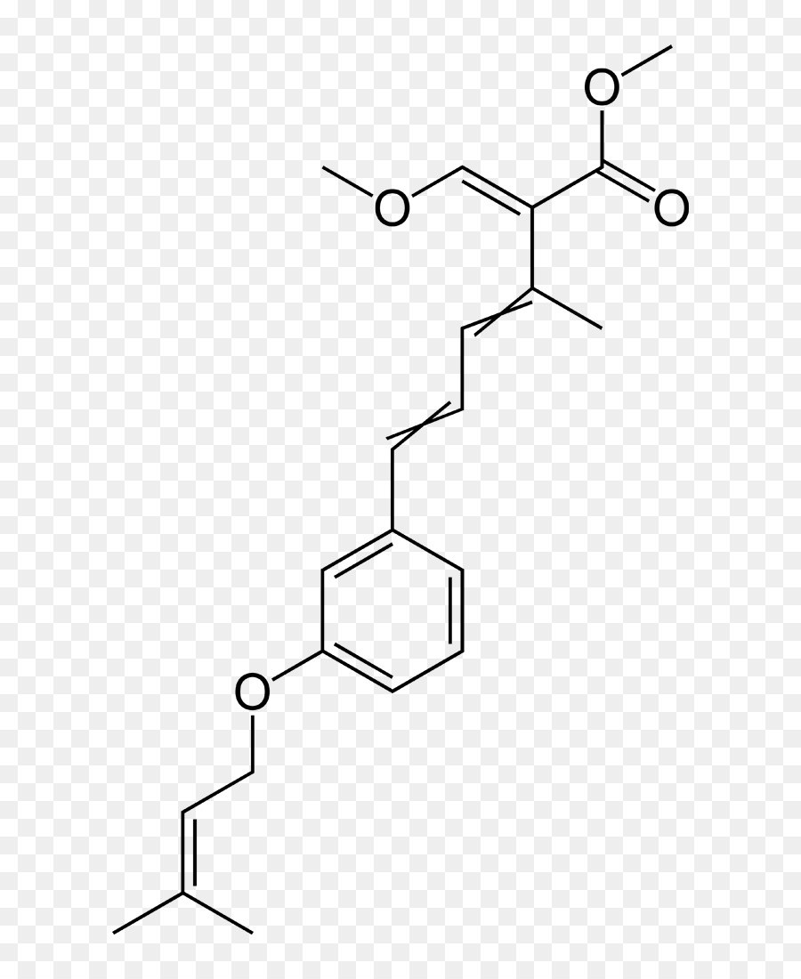 M02csf，Ponto PNG