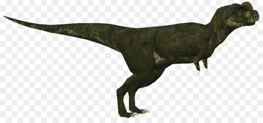Tiranossauro，Velociraptor PNG