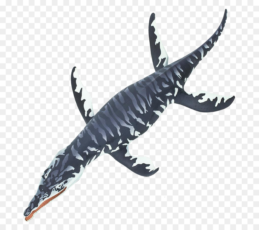 Kronosaurus，Jacaré PNG