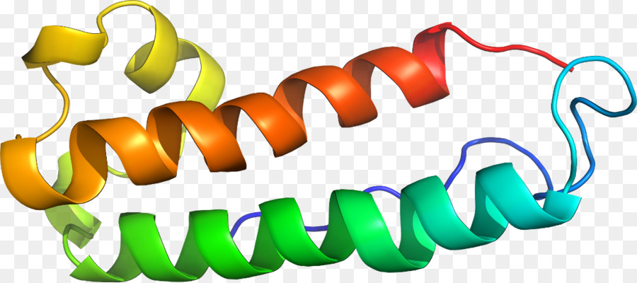 Hélice De Proteína，Molécula PNG