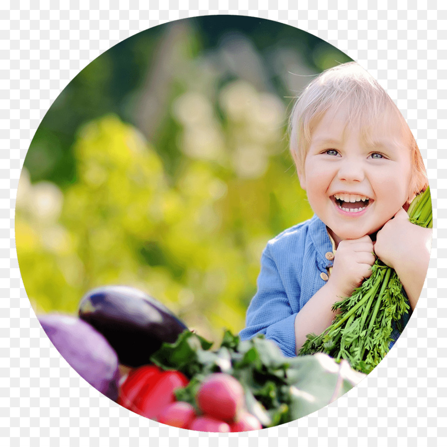 Alimentos，Nutrição PNG