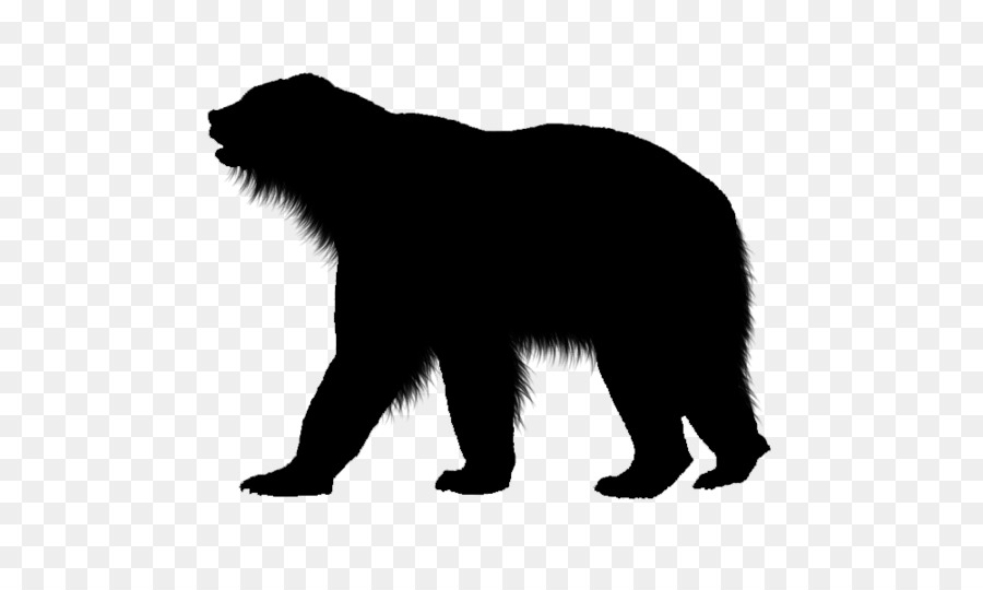 Urso，Animais Selvagens PNG