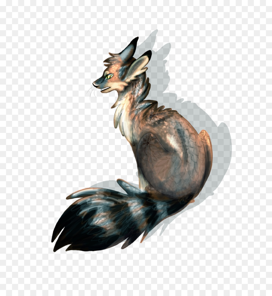 Canidae，Gray Fox PNG