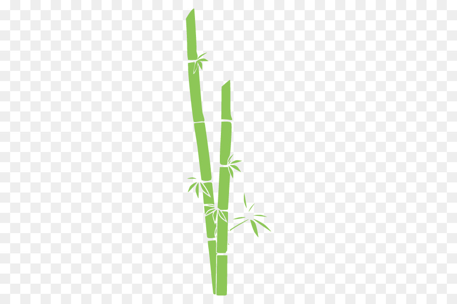 Bambu，Folhas PNG