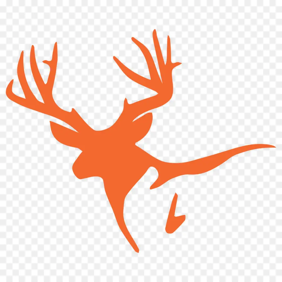 Deer，Elk PNG