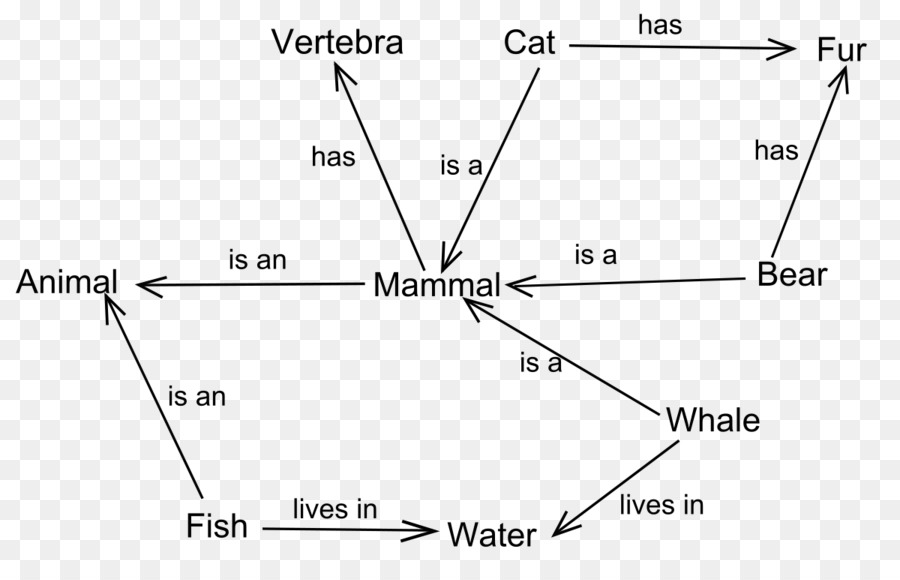 Diagrama De Classificação Animal，Classificação PNG