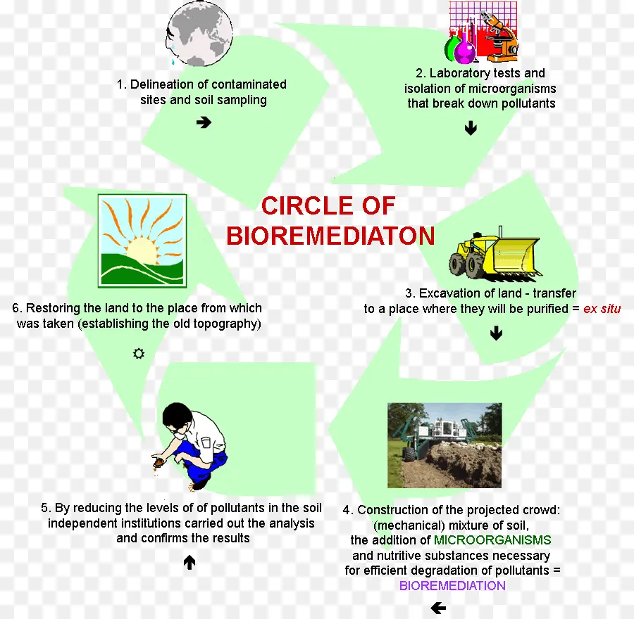 Processo De Biorremediação，Ambiente PNG