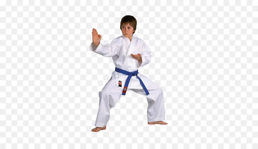 Karatê Kid，Artes Marciais PNG