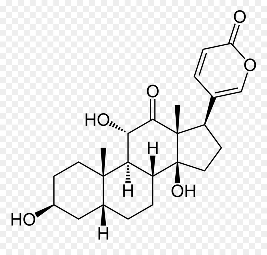 Dehidroepiandrosterona，Chenodeoxycholic ácido PNG
