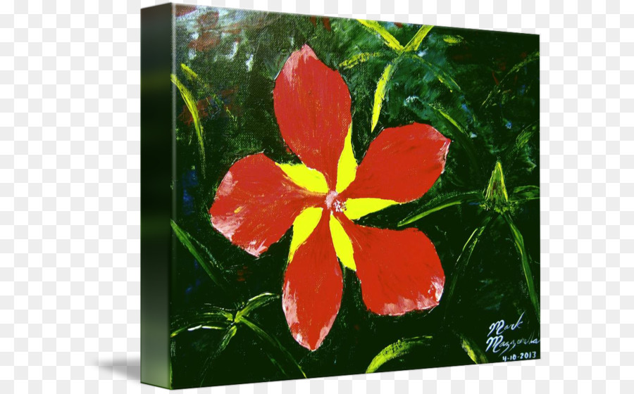 Hibiscus，Pintura PNG