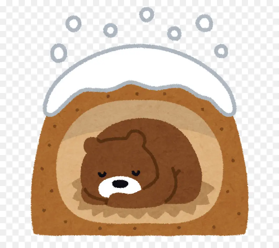 Urso Hibernante，Hibernação PNG