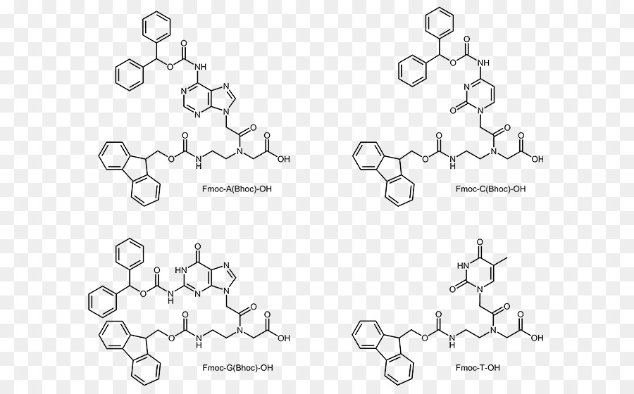 Peptídeo De ácido Nucleico，Oligonucleotide PNG