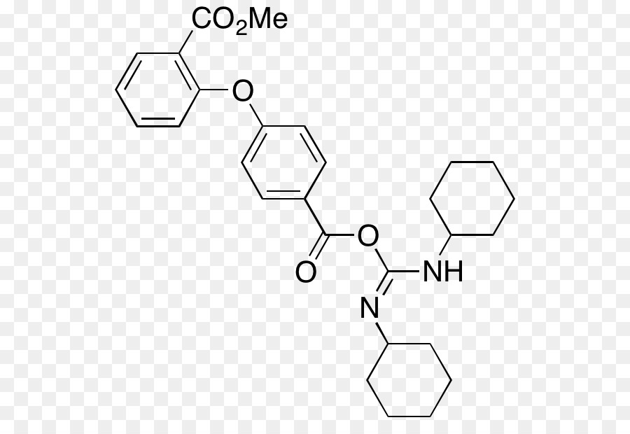 Nicotinamida Adenina Dinucleotídeo，Nicotinamida PNG