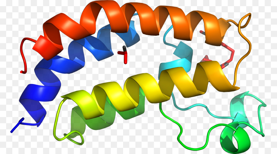 Hélice De Proteína，Molécula PNG