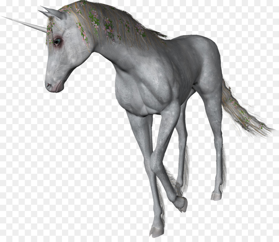 Mustang，Potro PNG