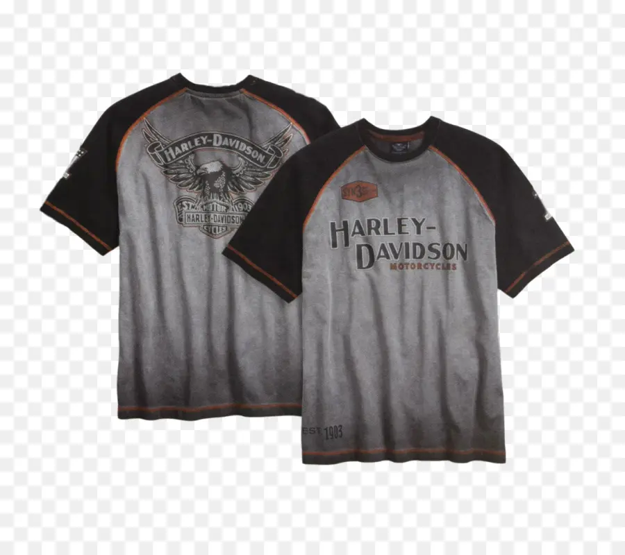 Camisetas Harley Davidson，Motocicleta PNG