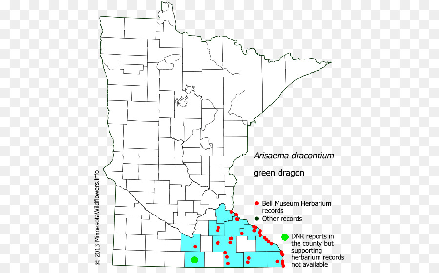 Ramsey County Minnesota，Branca Terra PNG