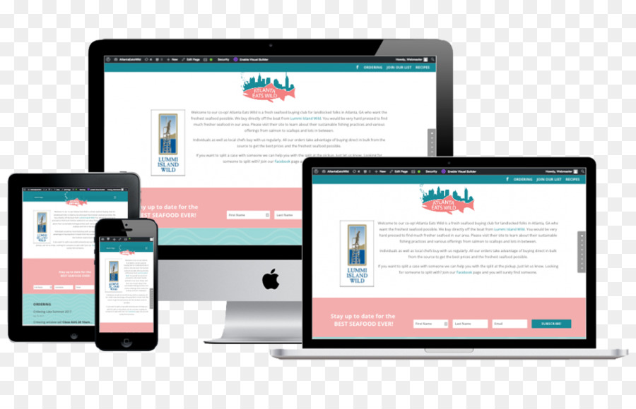 Responsive Web Design，Desenvolvimento Web PNG