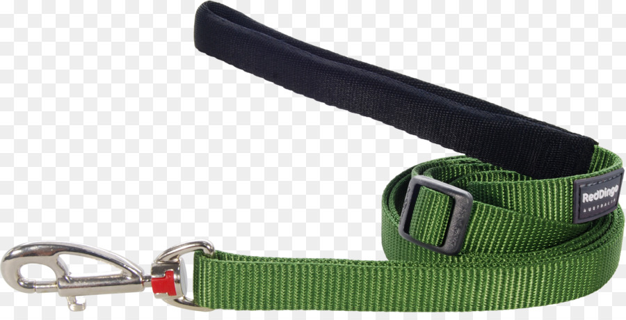 Leash，Dingo PNG