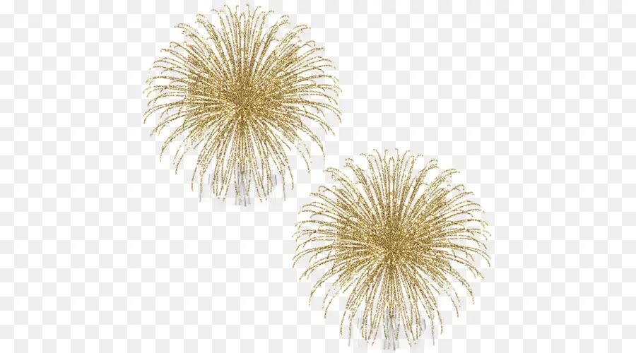 Fogos De Artifício，Ouro PNG