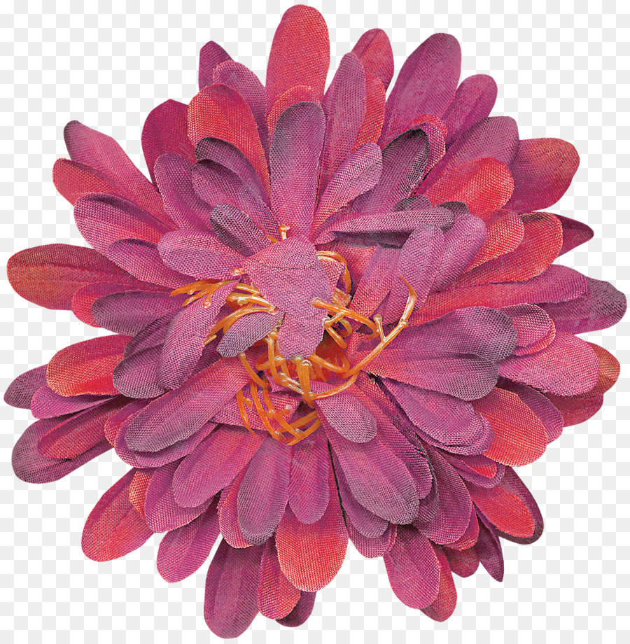 Crisântemo，Dahlia PNG