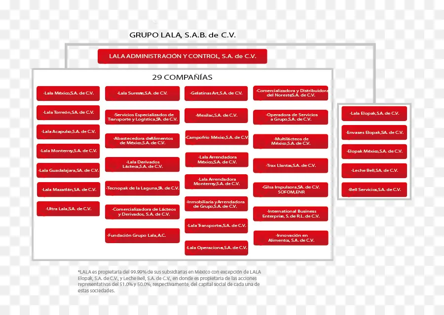 Estrutura Da Empresa，Organização PNG