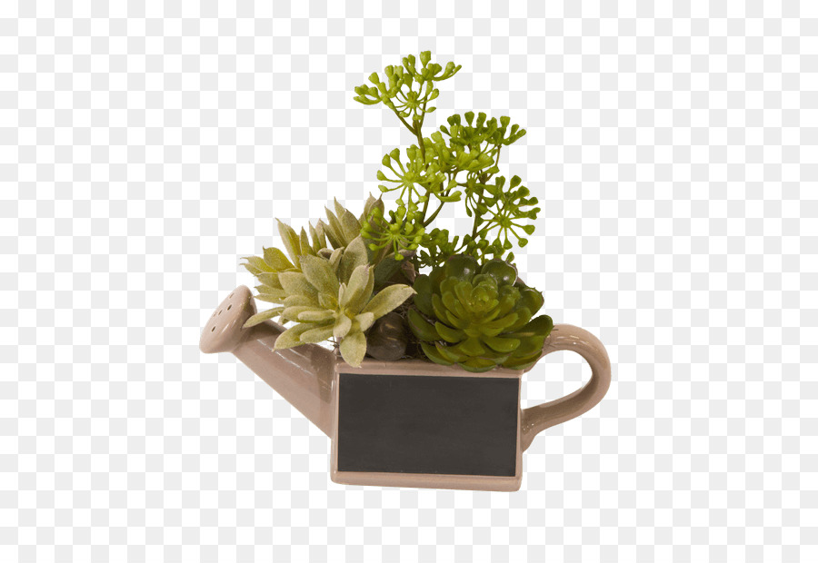 Flowerpot，Erva PNG