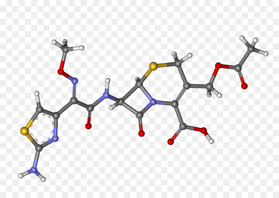 Cefalosporina，Wikipédia A Enciclopédia Livre PNG